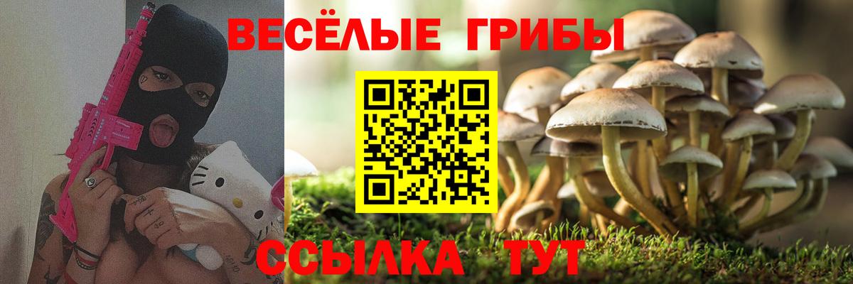 даркнет сайт  Галлюциногенные грибы MAGIC MUSHROOMS  Вход с VPN  Псилоцибиновые грибы мицелий  Алексин 